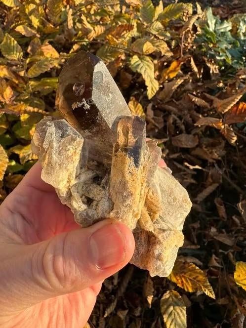 Mooie rookkwarts met grote punt, Ophalen of Verzenden, Mineraal