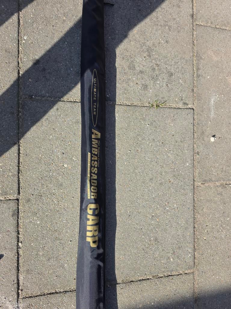 Ambassador Carp Vaste Hengel - 9.50m, 680gr, Ophalen of Verzenden