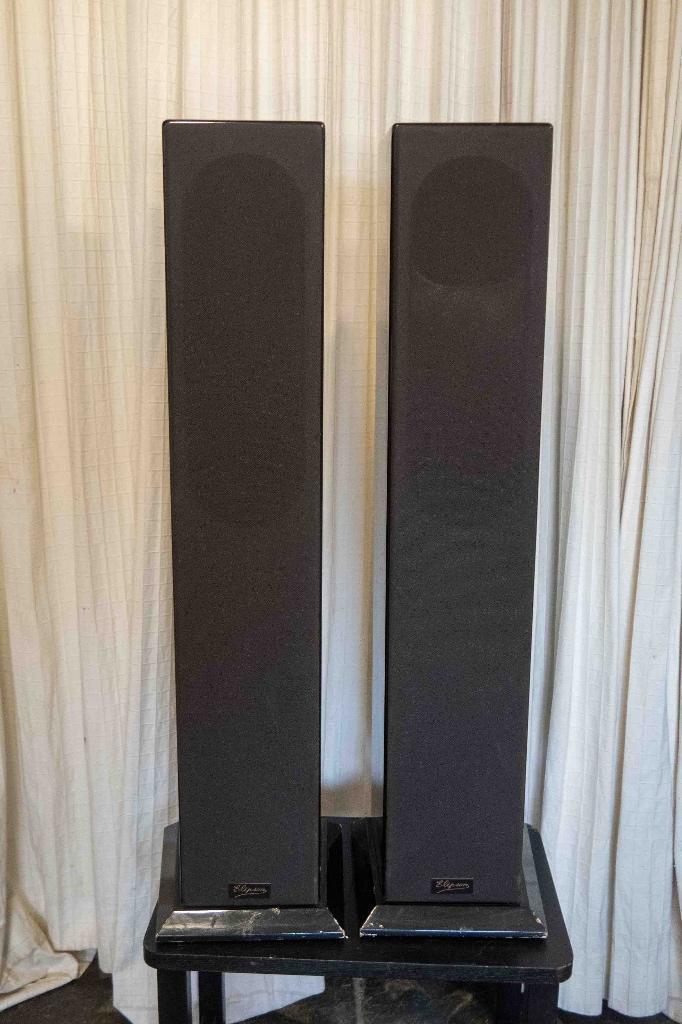 Elipson Isis luidsprekerboxen, Audio, Tv en Foto, Luidsprekers, Gebruikt, Front, Rear of Stereo speakers, 120 watt of meer, Overige merken