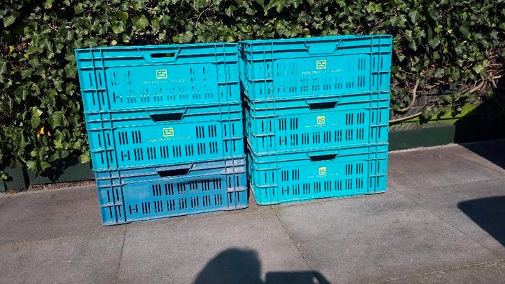 5 stuks degelijke en oersterke kunststof veilingkratten, Doe-het-zelf en Verbouw, Kratten en Dozen, Gebruikt, Krat, 100 cm of meer