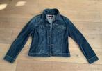 Tommy hilfiger dames spijkerjasje maat 12/42, Ophalen of Verzenden, Zo goed als nieuw, Maat 42/44 (L), Blauw