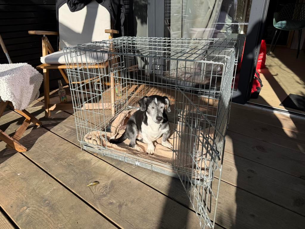 Bench voor kat of kleine hond, Ophalen, Gebruikt, Minder dan 65 cm, Minder dan 75 cm