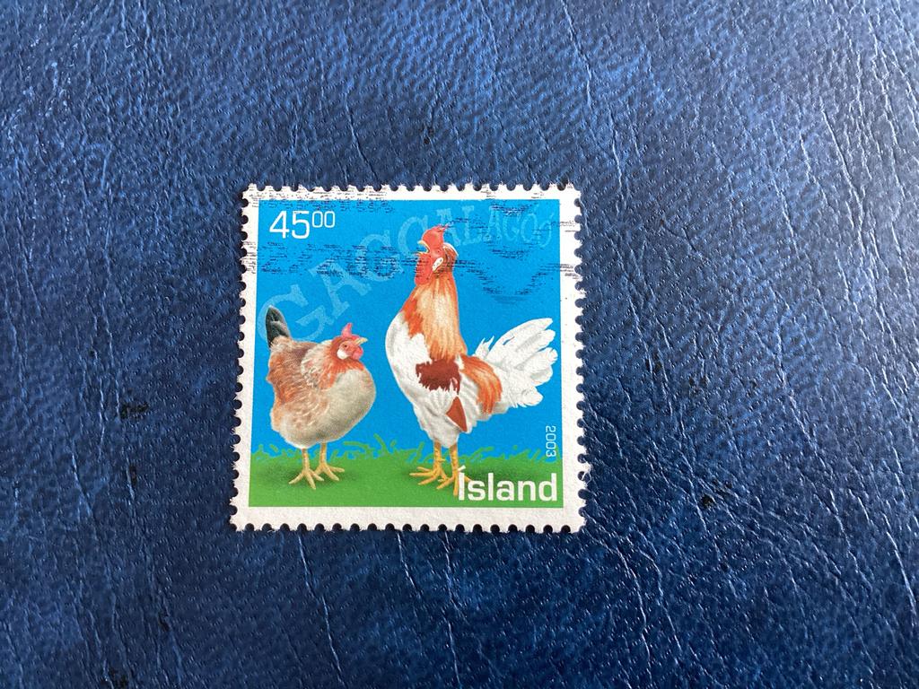 IJsland 2003 - Kip en Haan - 45.00 -Mi.1040, Ophalen of Verzenden, IJsland, Gestempeld