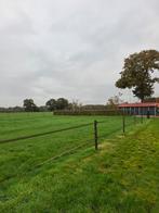 Kleinschalige paarden pony pensioen pensionstalling, Dieren en Toebehoren, Stalling