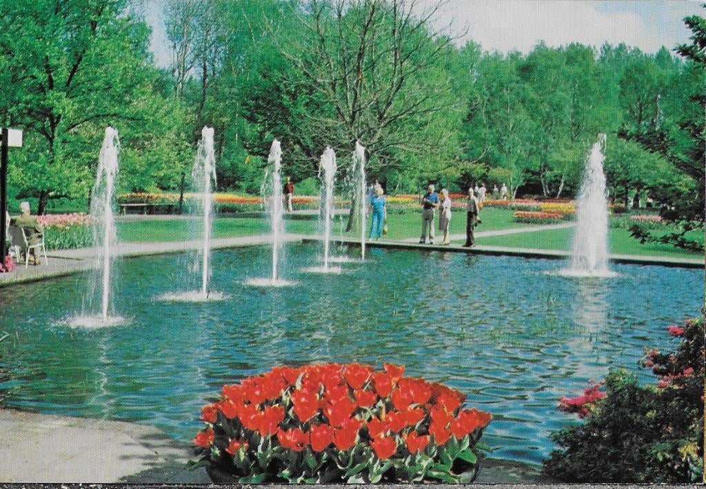 Lisse keukenhof ongelopen ansichtkaart ( a455 ), Ophalen of Verzenden, 1980 tot heden, Ongelopen