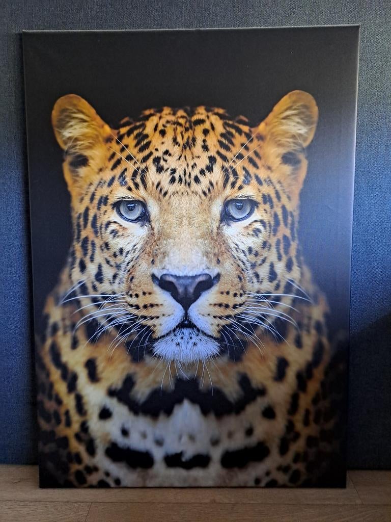 Canvasdoek 70x100 cm, Ophalen