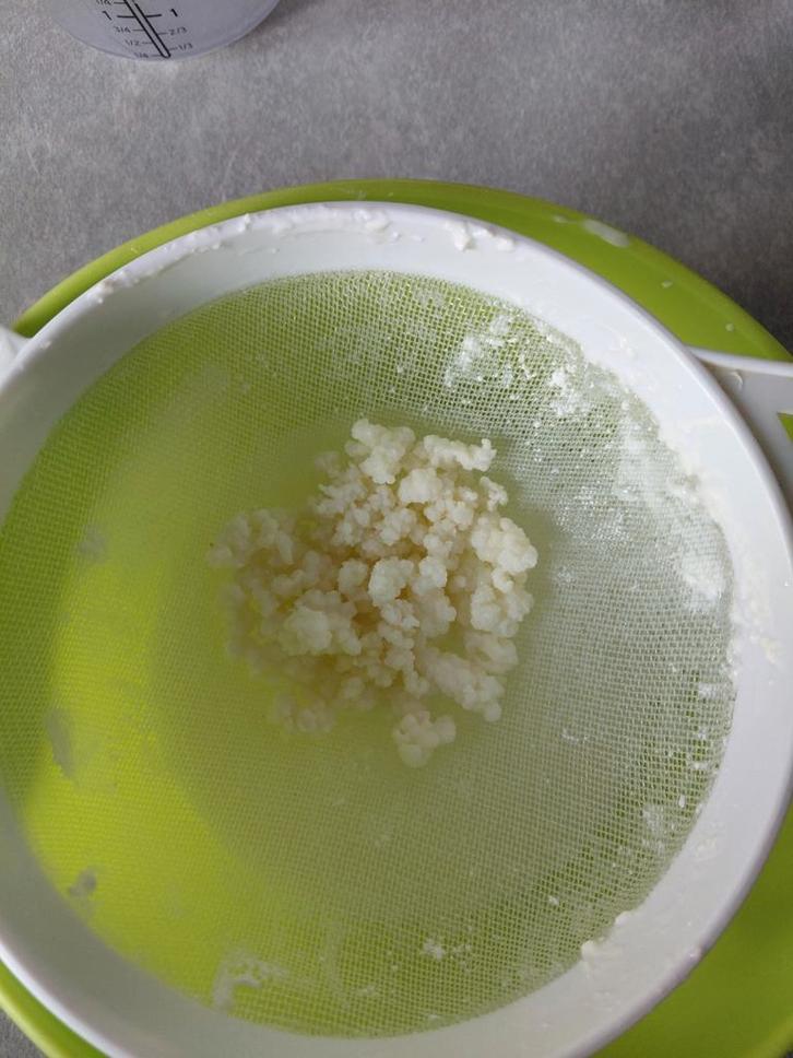 Kefir korrels melkkefir, Diversen, Levensmiddelen, Ophalen of Verzenden