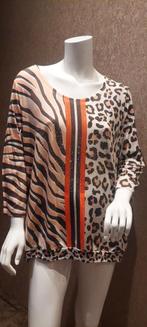 Missy xl, Ophalen of Verzenden, Gedragen, Maat 46/48 (XL) of groter, Korte mouw