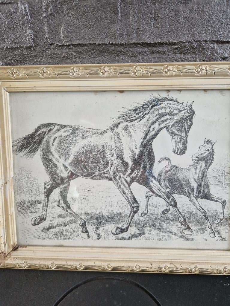 OUDE TEKENING INGELIJST PAARD, Antiek en Kunst, Ophalen of Verzenden