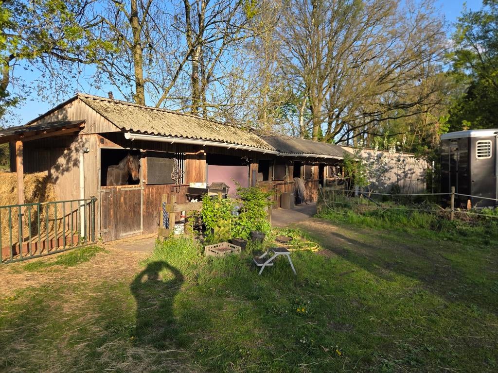 4 stallen wasplaats en grote hooischuur, Tuin en Terras, Tuinhuizen, Ophalen, Gebruikt, Schuur