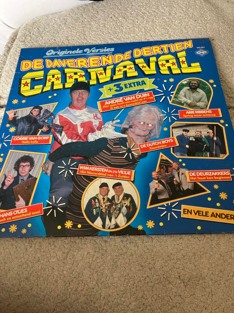 De Daverende Dertien Carnaval LP - Originele Versies, Ophalen of Verzenden, 1980 - 1989, Gebruikt, 12 inch