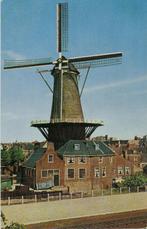 Delft Molen De Roos ca. 1970, Ophalen of Verzenden, 1960 tot 1980, Ongelopen, Zuid-Holland