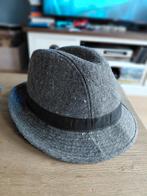 Grijze hoed, Ophalen of Verzenden, Gedragen, Hoed