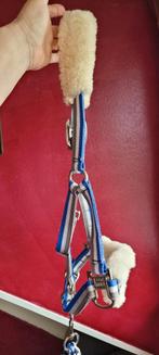 Halster maat cob, Dieren en Toebehoren, Ophalen of Verzenden, Overige soorten