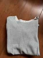 Nieuwstaat truitje lost minds mt s, Ophalen of Verzenden, Zo goed als nieuw, Maat 46 (S) of kleiner, Blauw