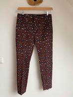 Scotch & Soda broek maat S (nieuw), Ophalen of Verzenden, Zo goed als nieuw, Maat 36 (S), Lang
