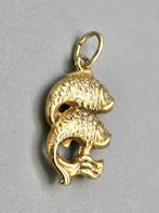 Gouden kooi karper hanger. 2026/167., ., Ophalen of Verzenden, Zo goed als nieuw, .