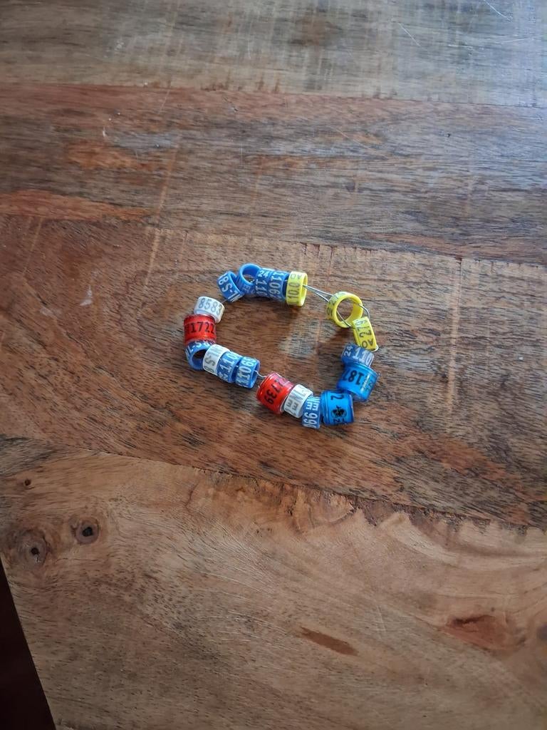 Van allerlei duivenringen, Dieren en Toebehoren, Vogels | Duiven, Mannelijk