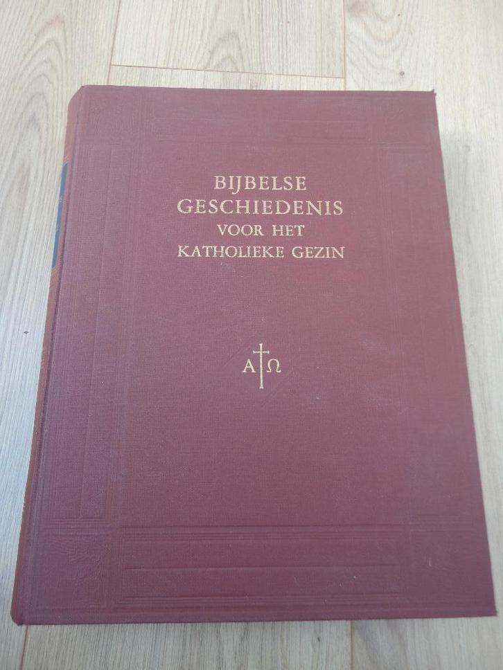 Boek Bijbelse Geschiedenis voor het Katholieke gezin, Boeken, Godsdienst en Theologie, Gelezen, Christendom | Katholiek, Ophalen of Verzenden