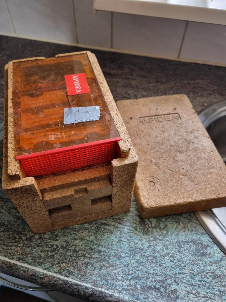 Bijen kweekkastje, Dieren en Toebehoren, Ophalen of Verzenden, Drinken en Voederen