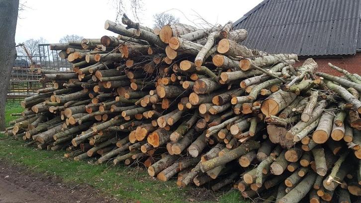 Openhaard op stam, Tuin en Terras, Haardhout, Stammen, Elzenhout, 6 m³ of meer, Ophalen