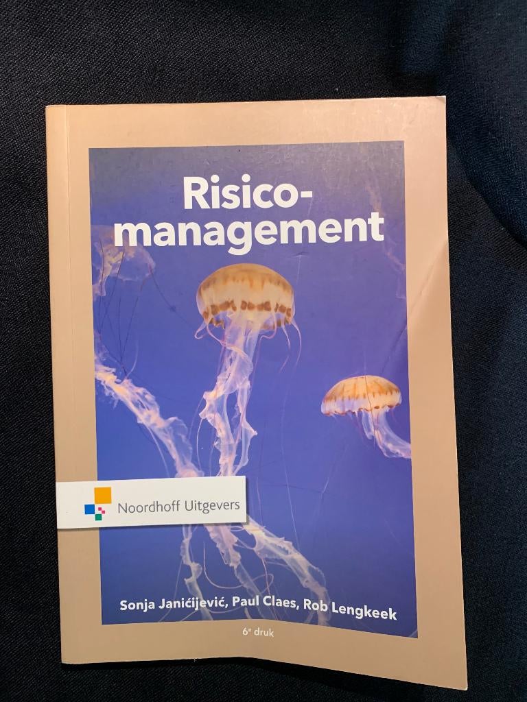 Boek Risicomanagement, Boeken, Nieuw, Noordhoff Uitgevers, Beta, HBO