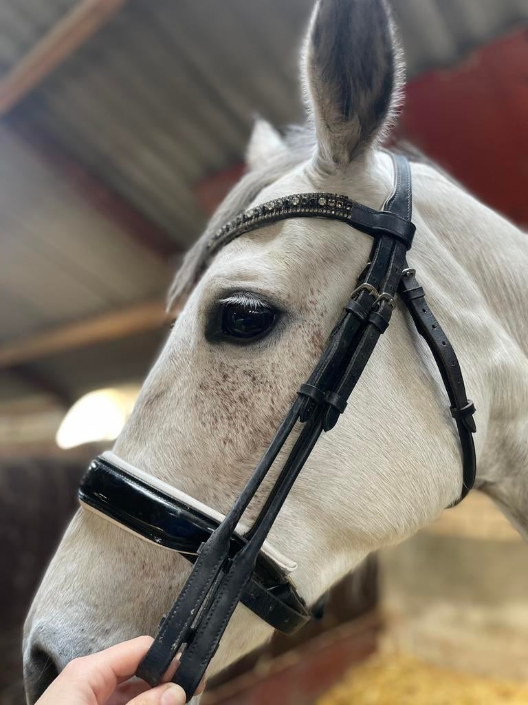 Anatomisch hoofdstel/lak neusriem/glitter frontriem, Dieren en Toebehoren, Ophalen of Verzenden, Zo goed als nieuw, Dressuur