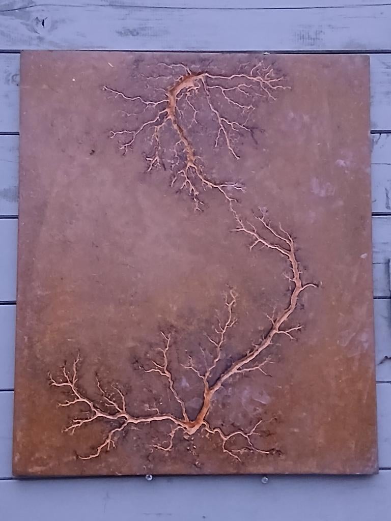 Unieke Muurdecoratie: Lichtenberg Figuur op Hout., Hout, Ophalen of Verzenden, Bruin, Handgemaakt