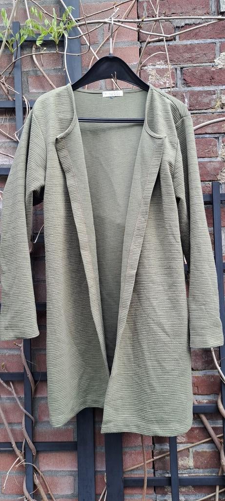 Jasje/True Spirit, Verzenden, Zo goed als nieuw, Maat 38/40 (M), Groen