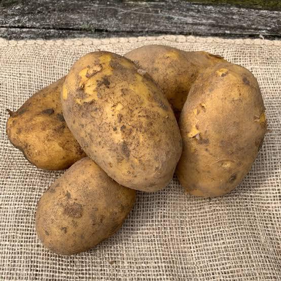 Pootgoed aardappelen, Ophalen of Verzenden