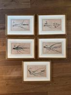 5 litho's uit de "Hortus Gramineus Woburnensis", 1825, Ophalen