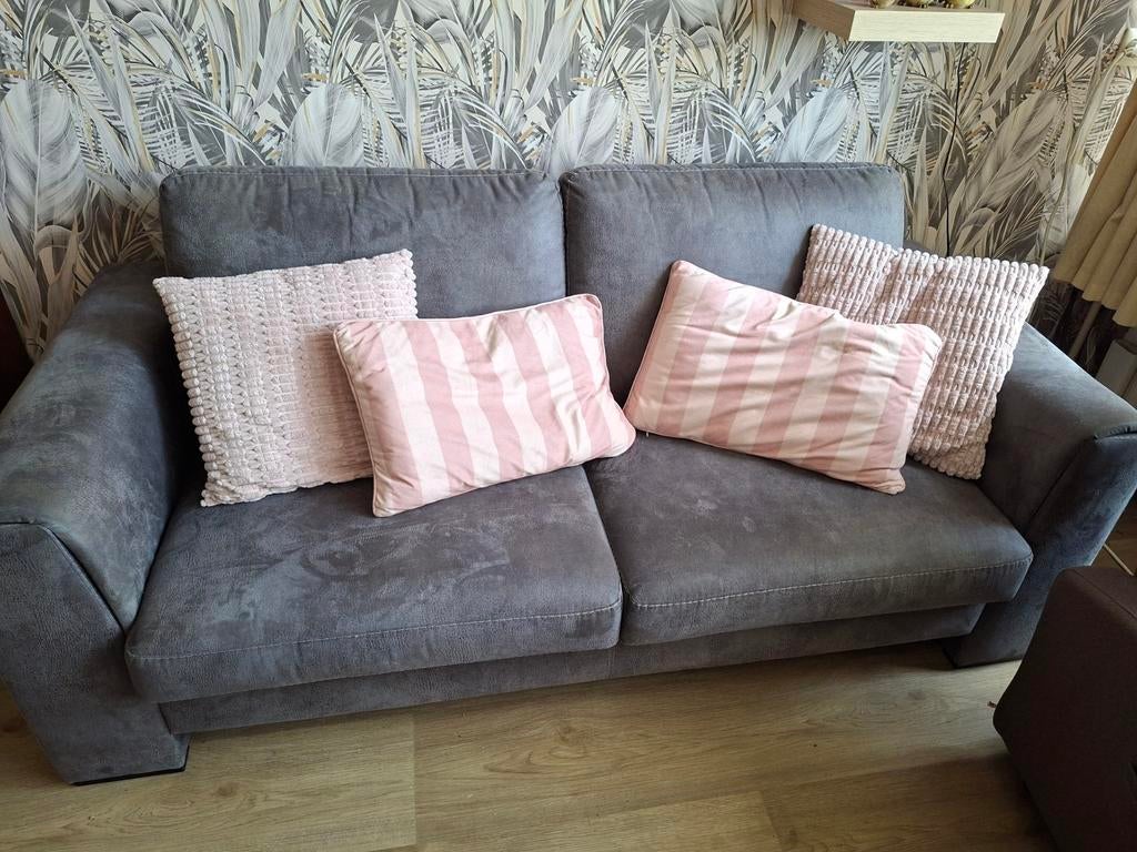 Grijze 2-zits bank met kussens, Ophalen, Gebruikt, 150 tot 200 cm, Tweepersoons