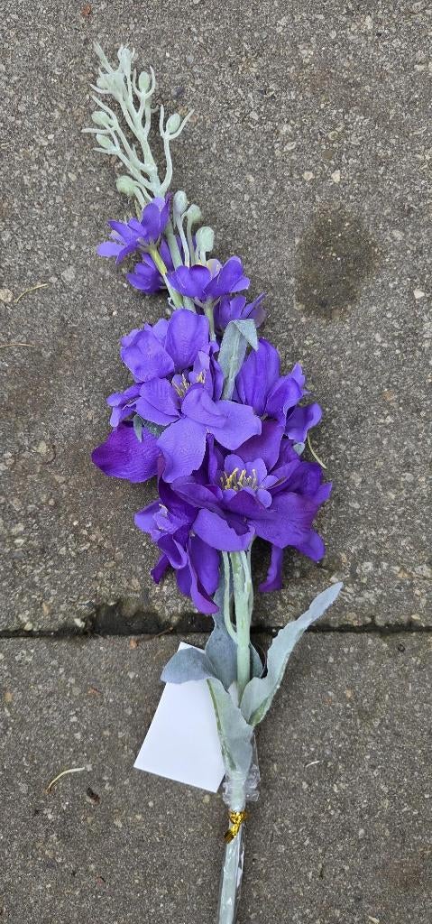 RIDDERSPOOR - KUNST - KOOPJE - PAARS, Ophalen of Verzenden, Nieuw