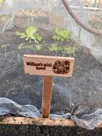 Moestuinbordjes, Ophalen of Verzenden, Nieuw