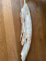 Fossielen slagtand wolharige mammoet, Verzamelen, Ophalen of Verzenden, Fossiel