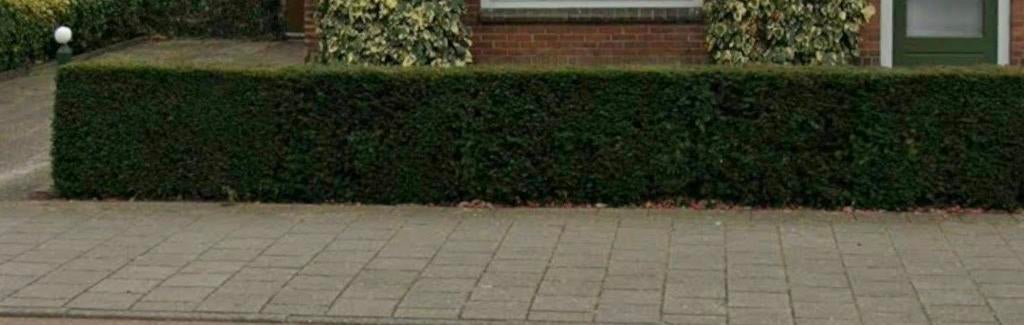 Gratis uit graven mooie haag., Ophalen