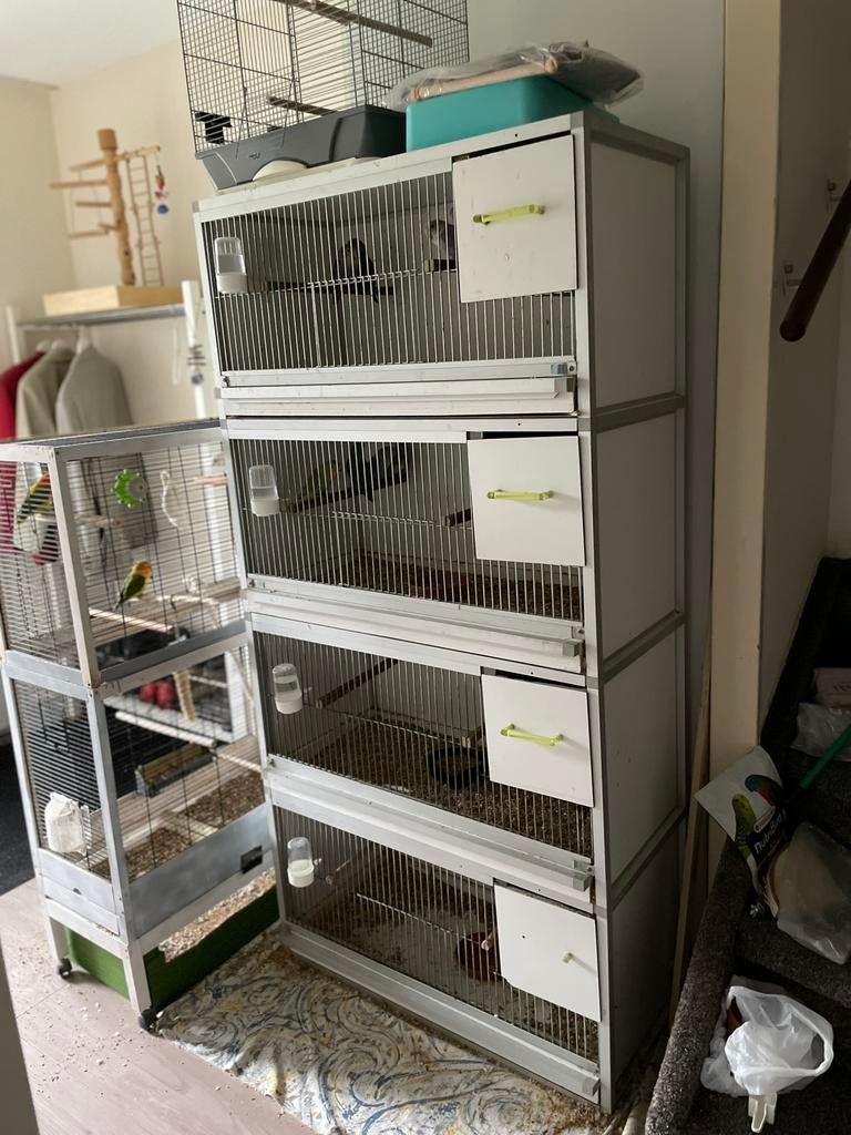 Complete Kweekkooi Broedkooien van Keulen Aluminium, Dieren en Toebehoren, Vogels | Hokken en Kooien, Ophalen, Zo goed als nieuw