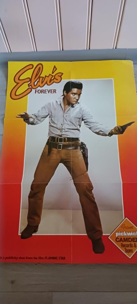 Poster Elvis, Ophalen of Verzenden, Zo goed als nieuw, Poster, Artwork of Schilderij