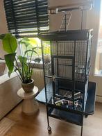 Vogelkooi groot, Dieren en Toebehoren, Vogels | Hokken en Kooien, Ophalen, Zo goed als nieuw, Metaal, Vogelkooi