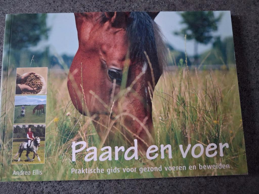 Albert Ellis - Paard en voer, Nieuw, Ophalen of Verzenden, Albert Ellis, Paarden of Pony's