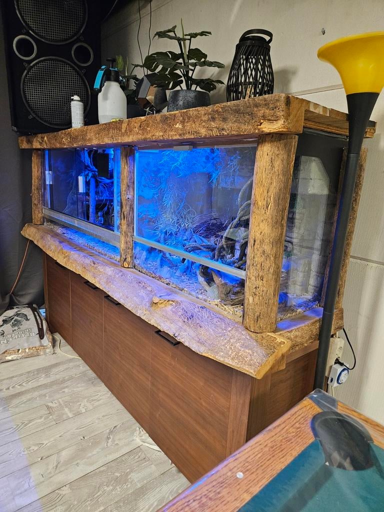 Jungle terrarium., Dieren en Toebehoren, Reptielen en Amfibieën | Toebehoren, Ophalen, Zo goed als nieuw, Terrarium of Paludarium