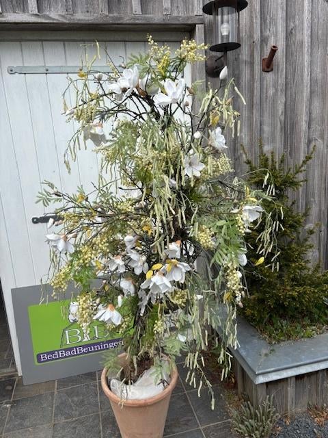 kunstplant, kunst plant, perenboom met versiering, Ophalen, 200 cm of meer, Overige soorten, Halfschaduw