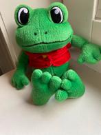 Duinrell Wassenaar Rick de Kikker knuffel 22 cm, Ophalen of Verzenden, Nieuw, Gebruiksvoorwerp
