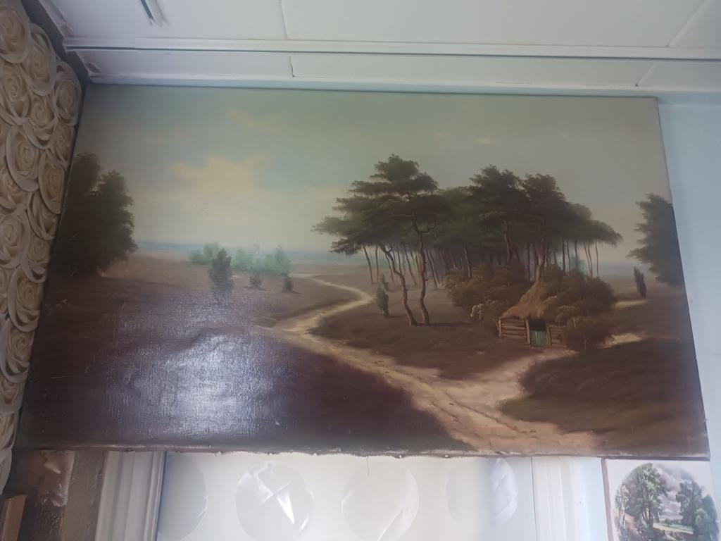 Boslandschap, Ophalen of Verzenden