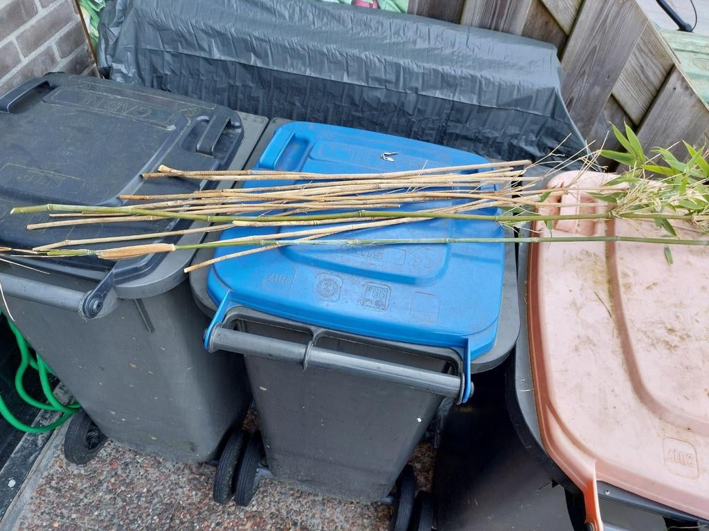 Bamboestokken alleen ophalen, Ophalen