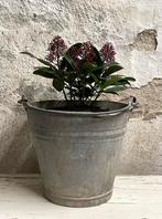 Brocante oud zinken emmer ( midden maatje ), Ophalen of Verzenden