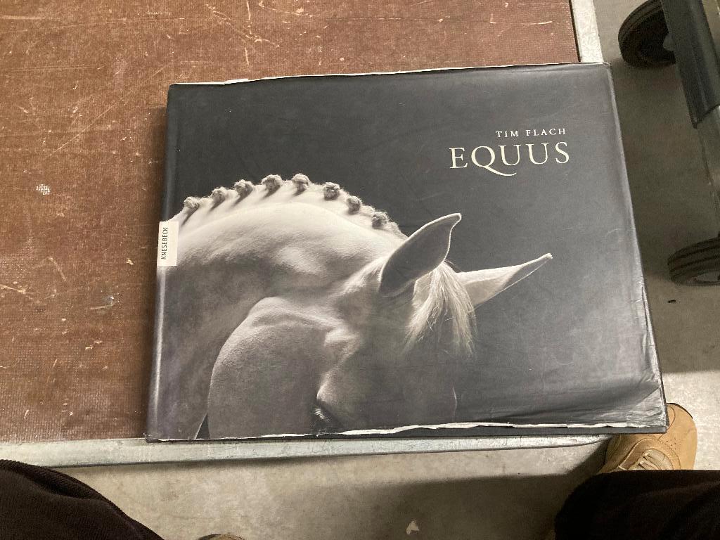 paard pony zebra ezel Tim Flach, Tim Flach, Ophalen of Verzenden, Zo goed als nieuw, Paarden of Pony's