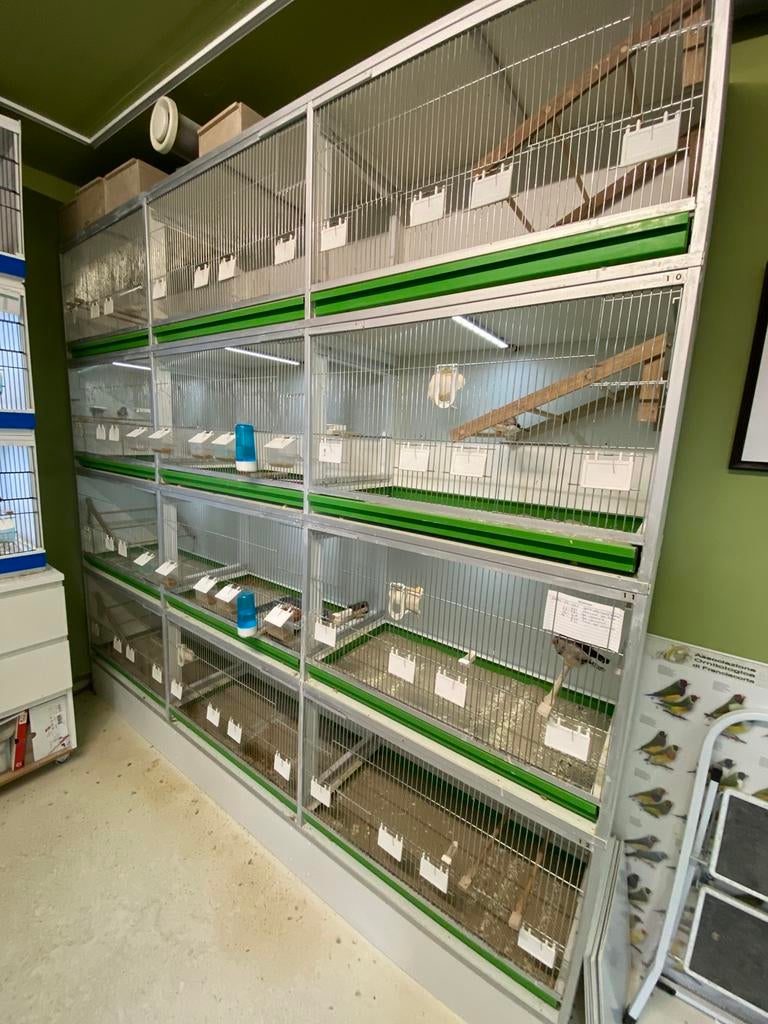 Van keulen kooien, Dieren en Toebehoren, Vogels | Hokken en Kooien, Ophalen, Gebruikt, Hout, Broedkooi of Kweekkooi