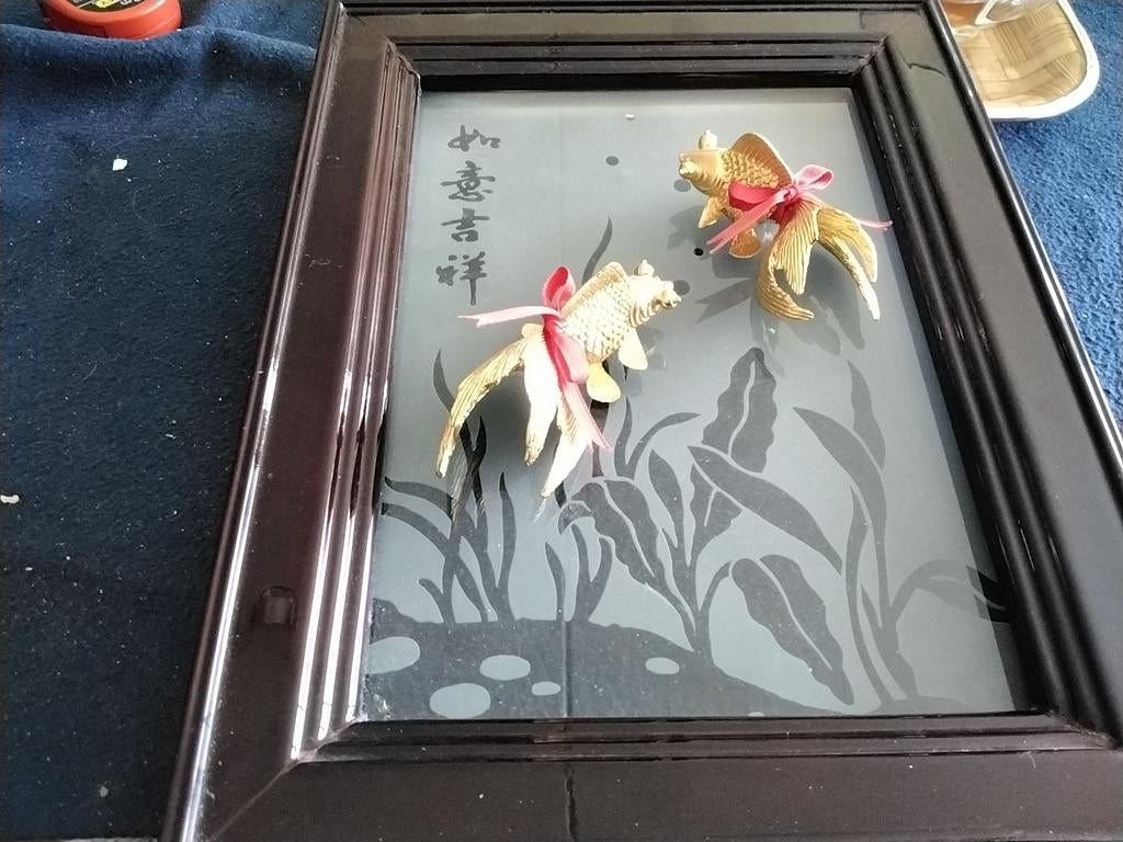 Chinese goudvergulde goudvissen, Verzenden