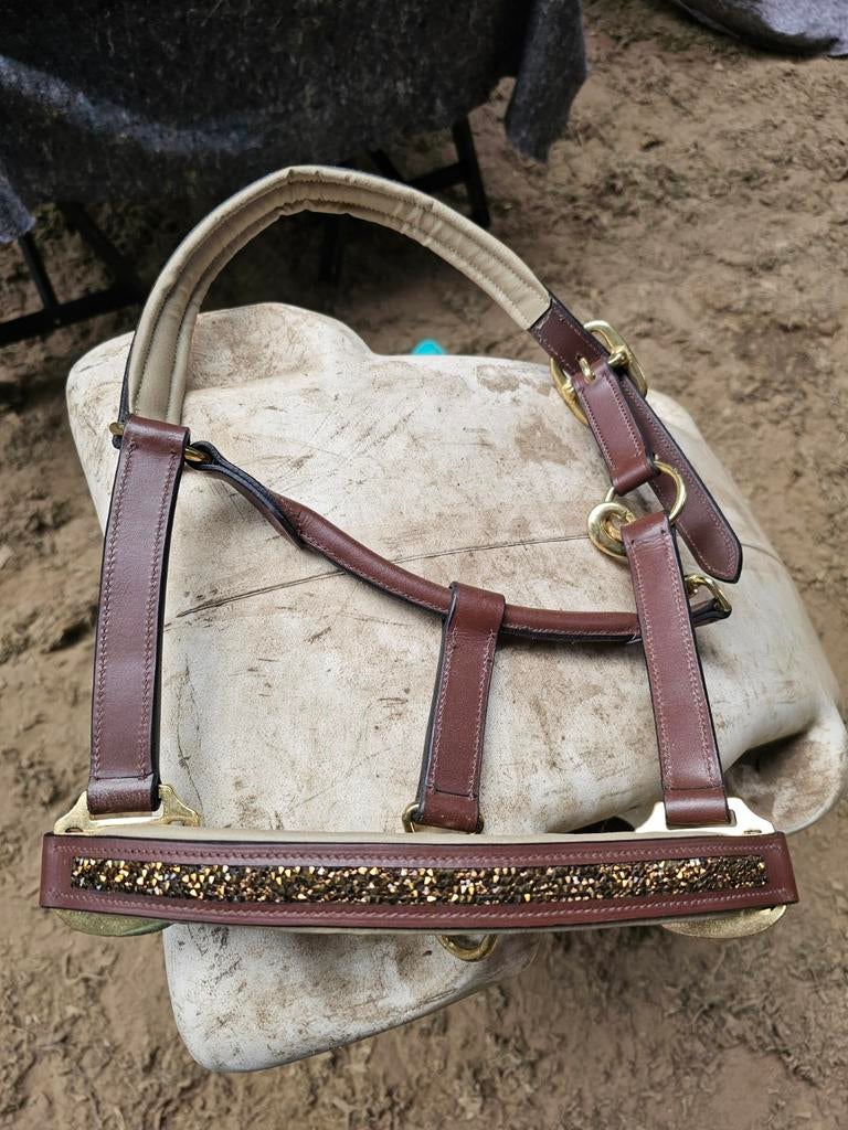 Chique lederen halster Pony, Ophalen of Verzenden, Nieuw, Overige soorten